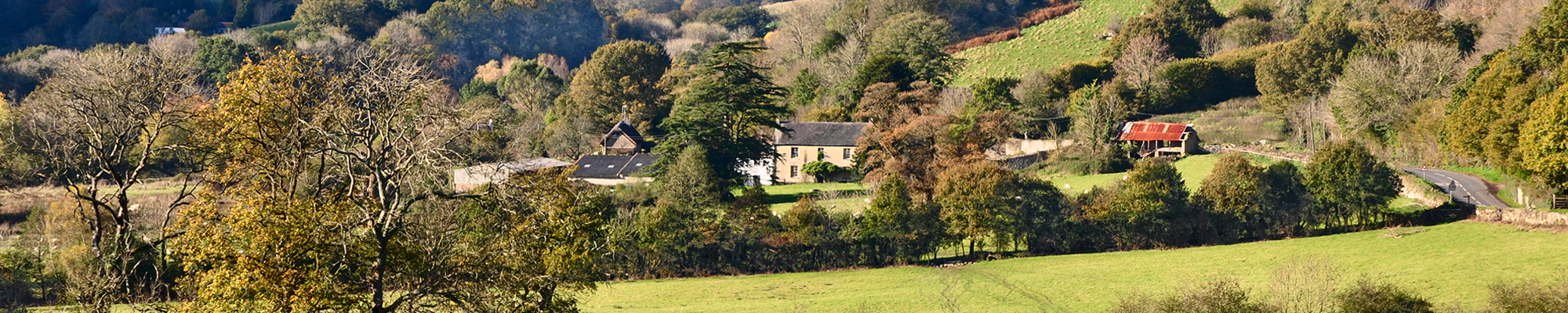 Removals Bovey Tracey